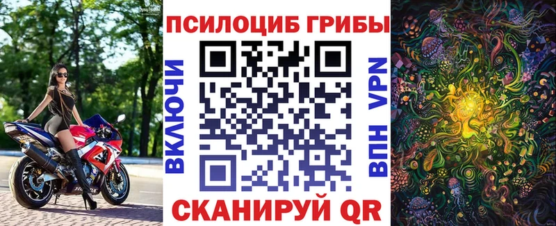 Псилоцибиновые грибы Psilocybine cubensis  Боготол 
